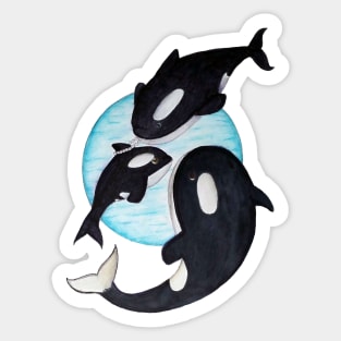 Save the Orcas! Sticker